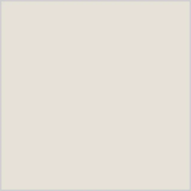 YGY02 Abalone Grey
