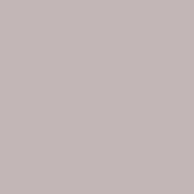WG26 Silver Grey