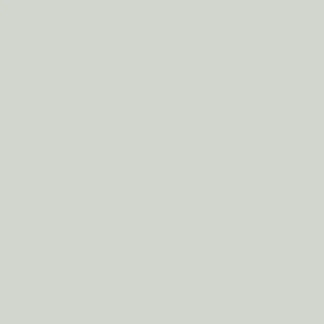 GG24 Wispy Grey