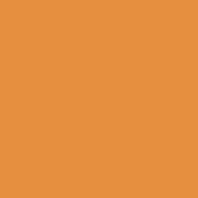 FY01 Fluorescent Orange