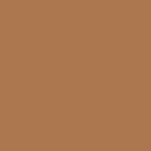 Y416 Golden Brown