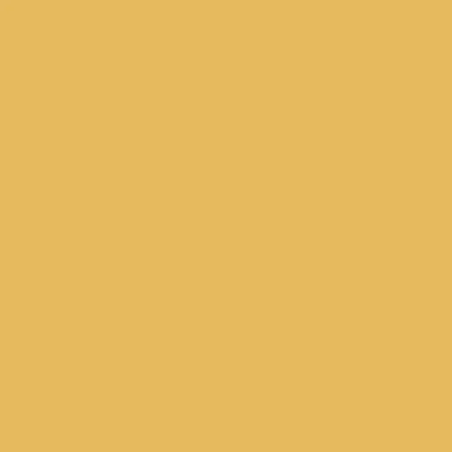 Y27 Sunflower