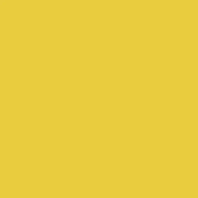 Y19 Canary