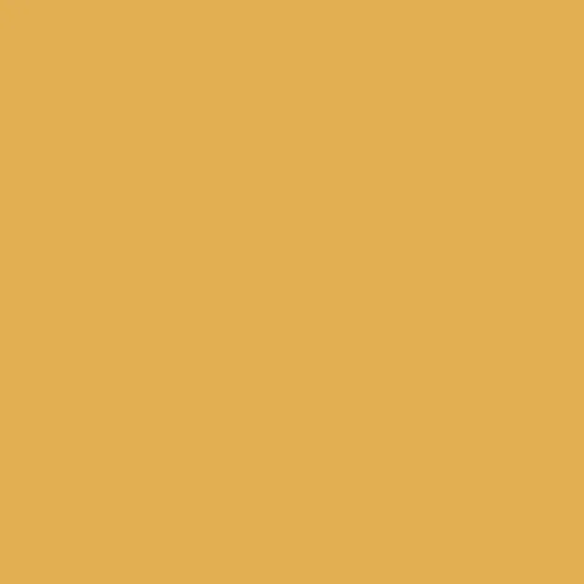 Y28 Corn Yellow