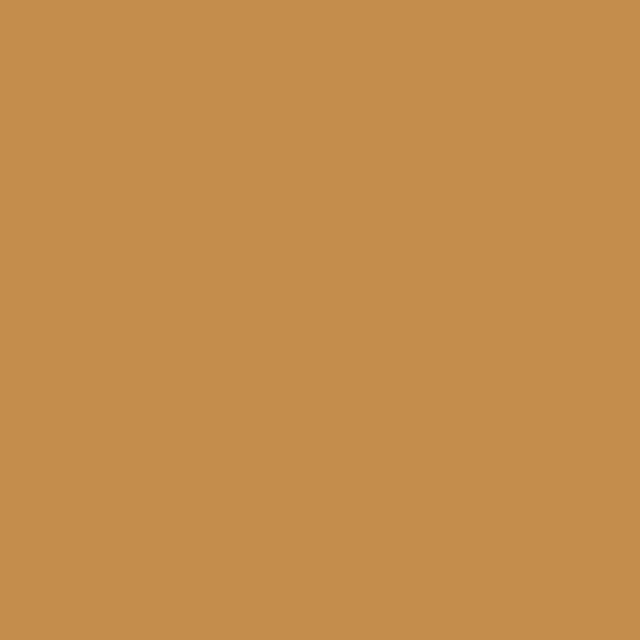 Y216 Caramel