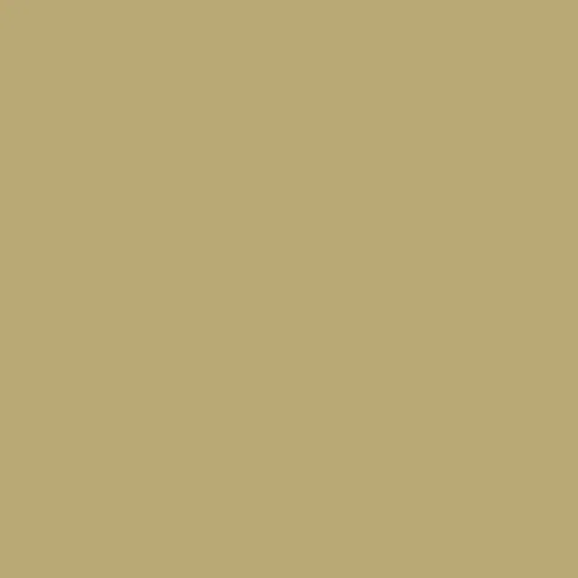 E212 Dusty Olive