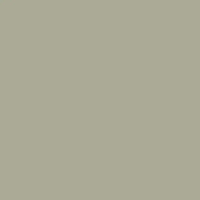 E011 Pale Camo Green