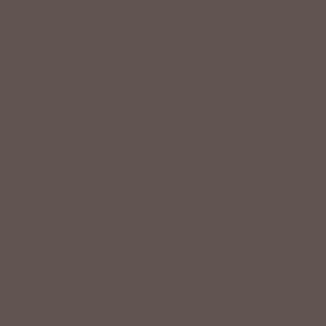 E515 Black Brown