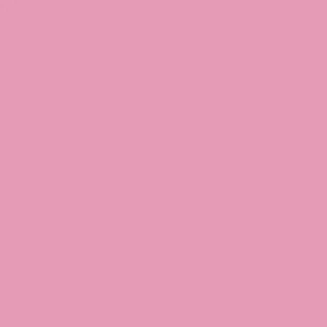 R28 Pink Carnation
