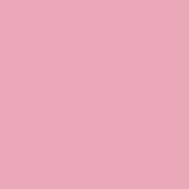 RV17 Pink