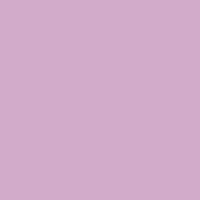 RV57 Dark Lilac