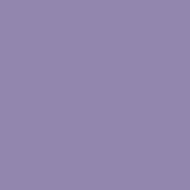 V29 Dull Violet