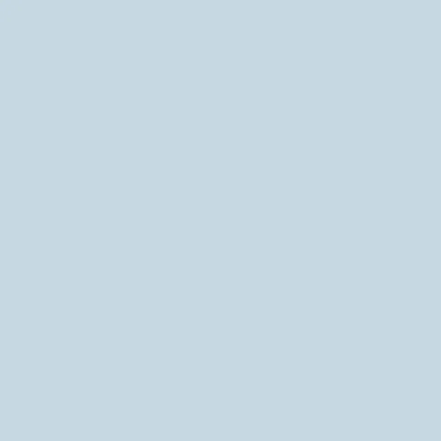 B27 Fog Blue