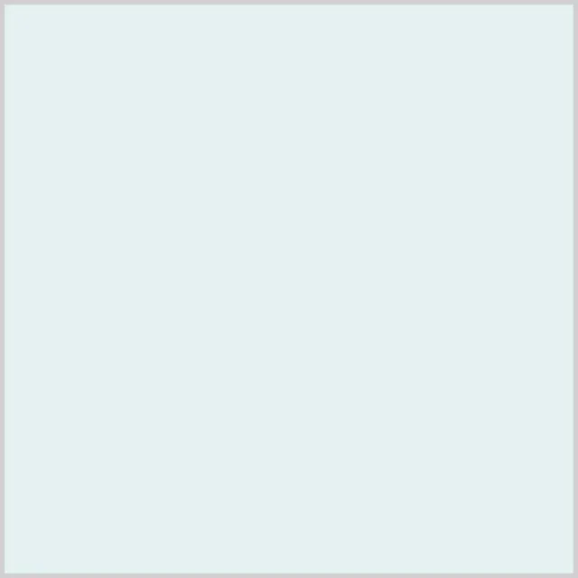B21 Porcelain Blue