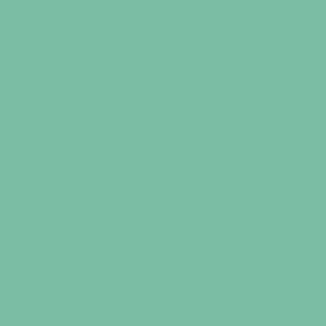 BG211 Spearmint