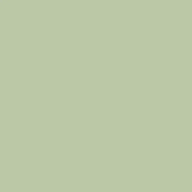 YG36 Beige Green
