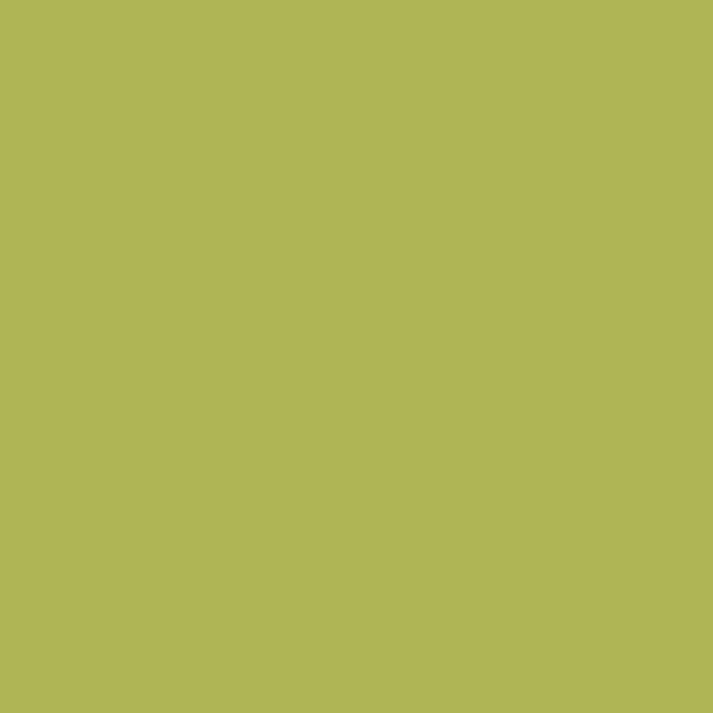 YG211 Edamame