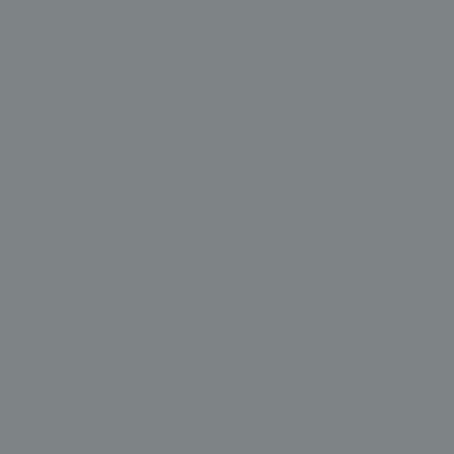 CG28 Web Grey