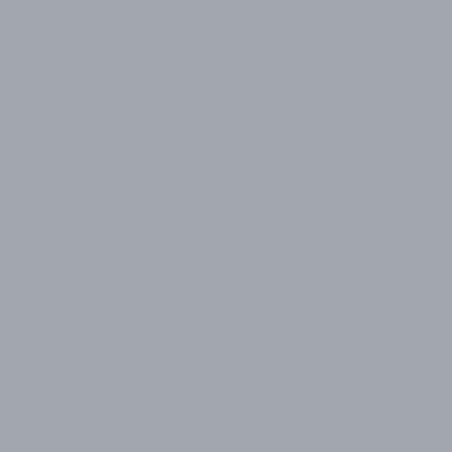 CG17 Cool Grey